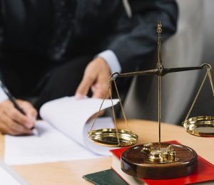 litigation-support